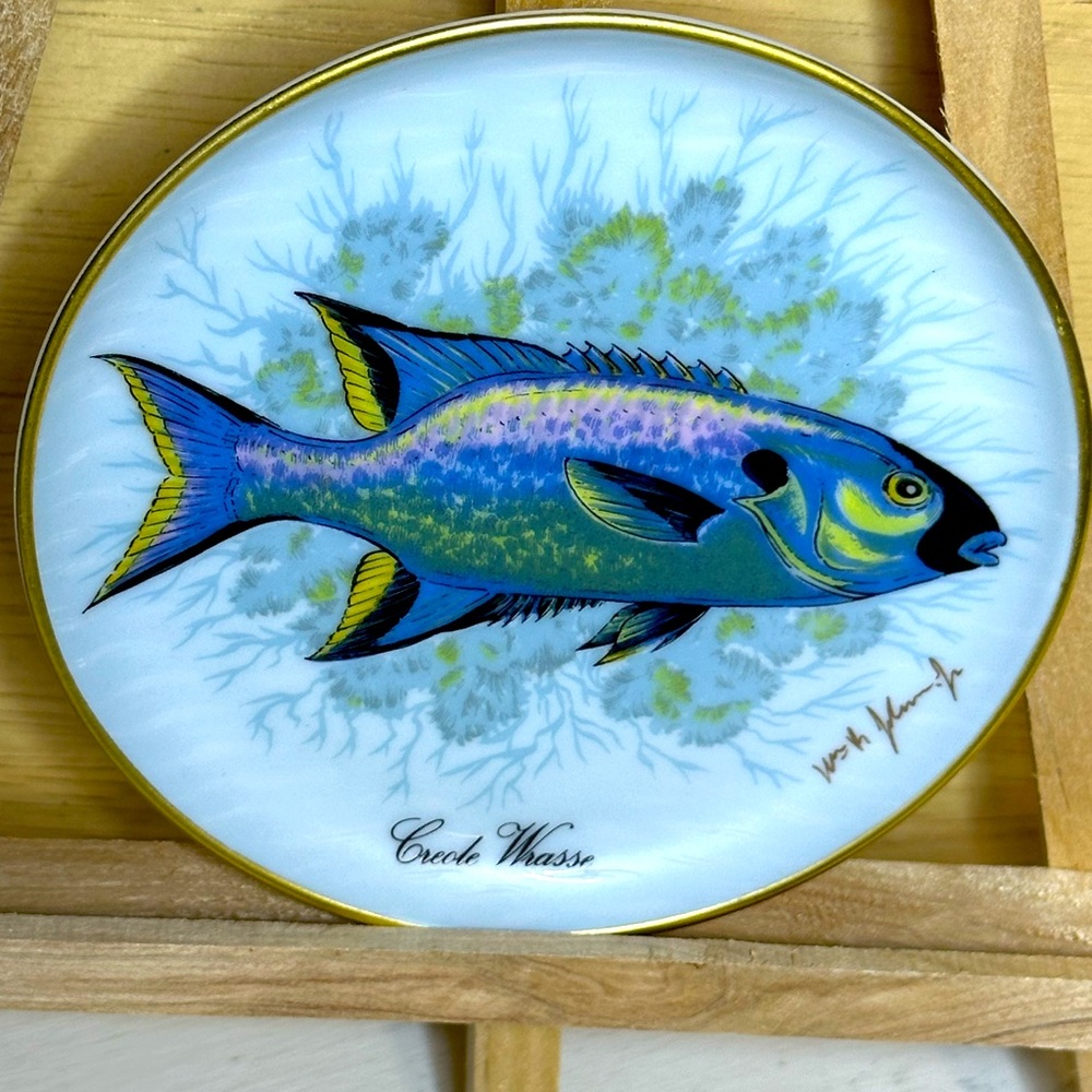 Mini dish Kaiser W Germany Creole Wrasse